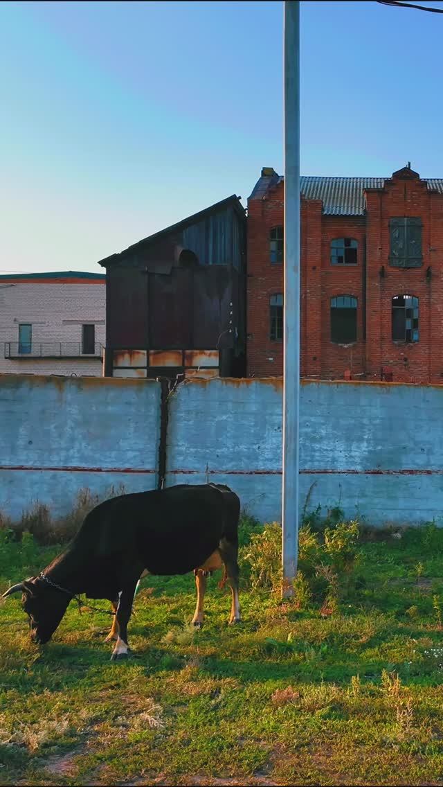 Что стало с селом Basel. Здесь говорили на немецком.