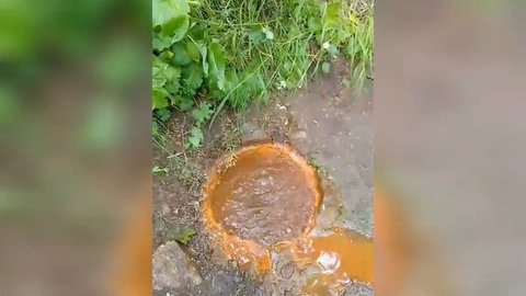 VideoCook_20250826_153335628.mp4