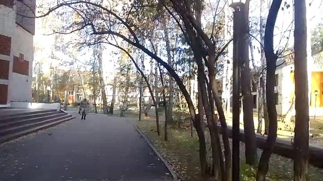 Утреннее пение птиц/ Санаторий Доволенский/ 23.10.2025🐦🐦🐦