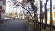 Утреннее пение птиц/ Санаторий Доволенский/ 23.10.2025🐦🐦🐦