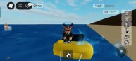 надо написать ники в roblox