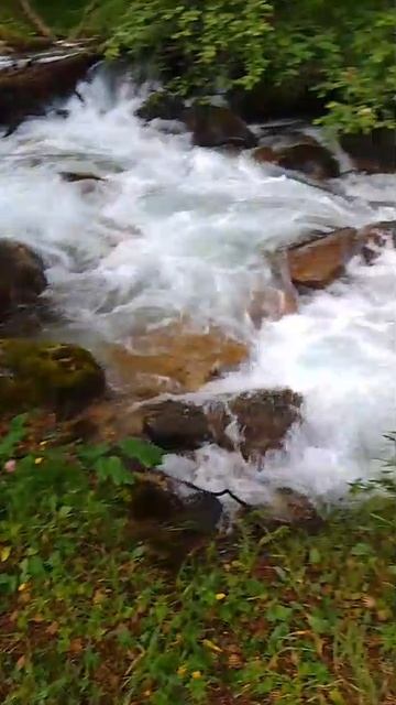 VID-20250824-WA0103.mp4