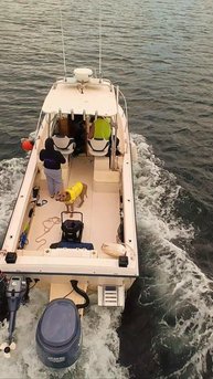 📖 “Three Men in a Boat (To Say Nothing of the Dog)” 🚤🐶Like the title of the famous book — calm w
