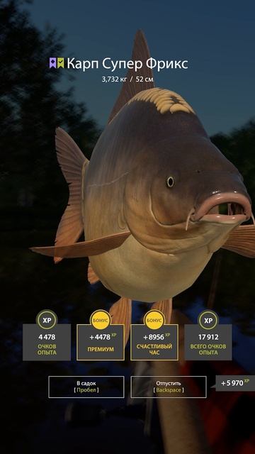 Раздача цветного на Медном и фарм #рр4