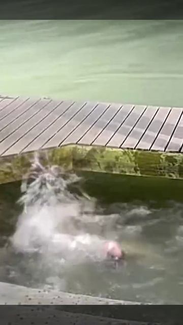 VID_20251024_101949_315.mp4