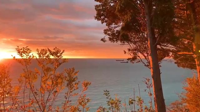 Россия.Краснодарский край.Туапсе.Чёрное море.Турагентство Coral Travel, Соколово-Мещерская-14.