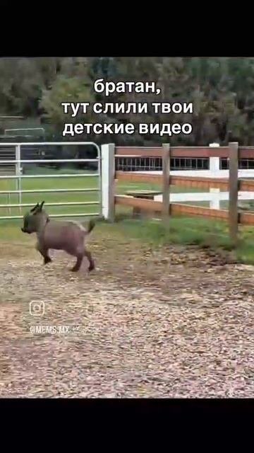 твоë детство