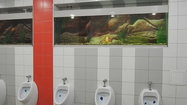 Саратов - креативный туалет на вокзале.