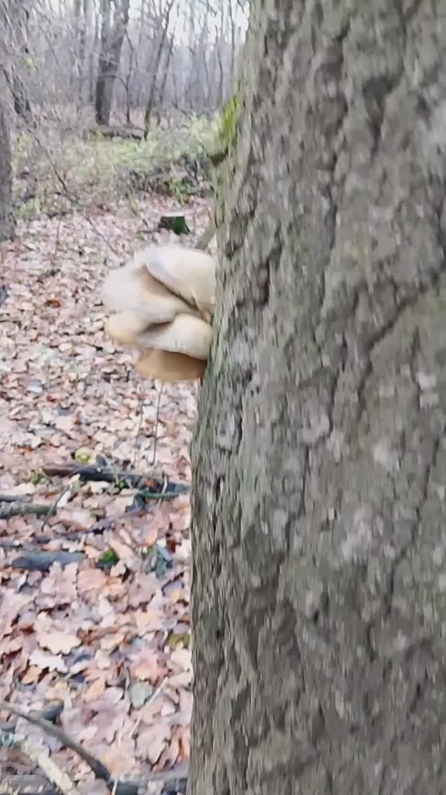 спортом займись, сходи погуляй