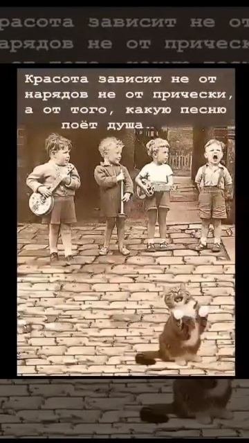 video_9496631973279.mp4