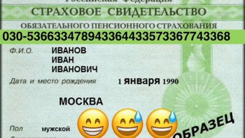 Диктую мошеннику БЕСКОНЕЧНЫЙ СНИЛС😂