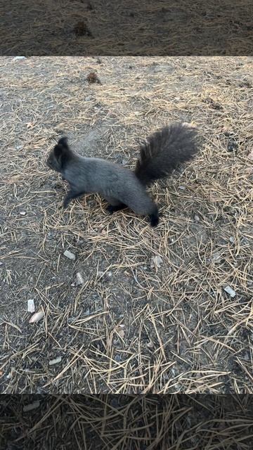 Добрый день!