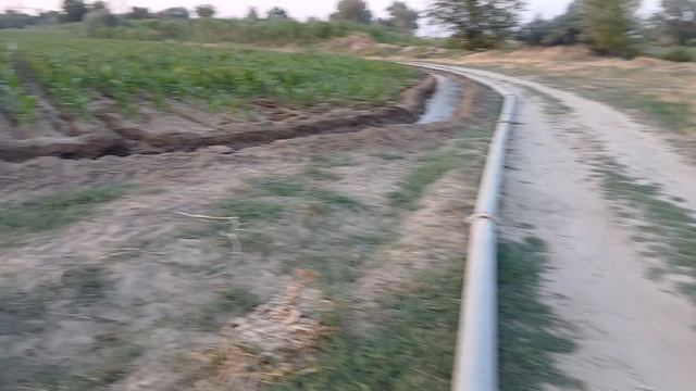 Рыбалка в Бишкеке в Кыргызстане.Поймала очень много рыбы