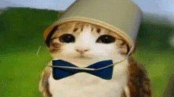 стрим разговора