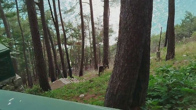 Дача И.В.Сталина. Холодная речка.