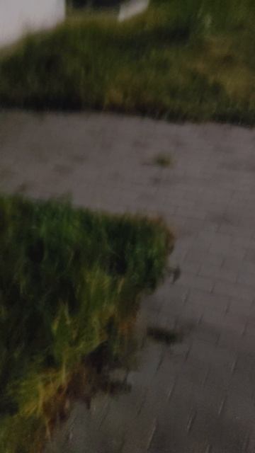 Универсальный ключ на разные домофоны + умные #flipthegeek #flipperzero #rfid