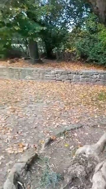 Магия итальянской провинции. Эмилия Романья