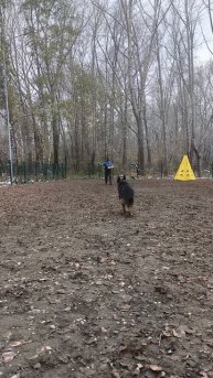 VID_20251011_131229 кусачка Зкс  Жофрей из Сибирских Афин
