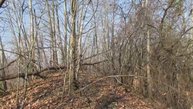 Бродилки от Бродислава 285. В ожидании снега.