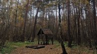Загородная жизнь, прогулки в лесу. НеХитрый РИЕЛТОР Воронеж