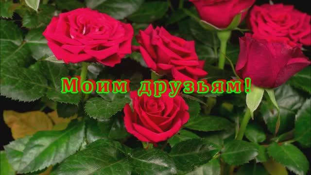 МОИМ ВИРТУАЛЬНЫМ ДРУЗЬЯМ ! В ЛЮБОЙ ВАШ ДЕНЬ САМЫЕ ЛУЧШИЕ ПОЖЕЛАНИЯ ! С ТЕПЛОМ И ОТ ДУШИ !