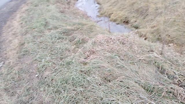 25.10.25.Меня сбила машина, но я еще живой