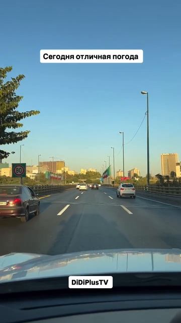 Отличная погода в Тегеране в октябре. #iran #тегеран #travel #tehran #didiplustv