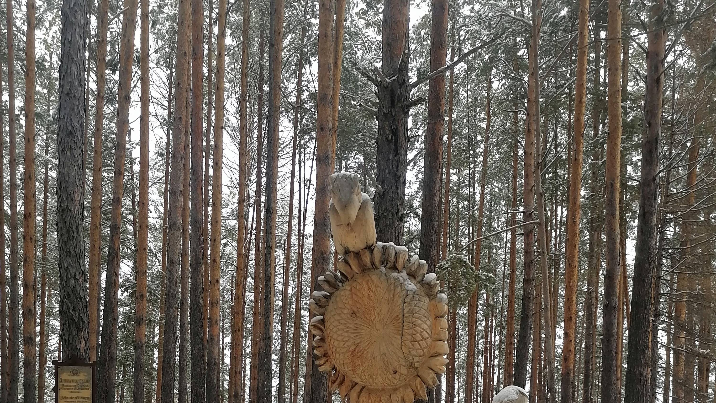 СКУЛЬПТУРЫ ИЗ ДЕРЕВА  В ПАРКЕ "ЛУКОМОРЬЕ"