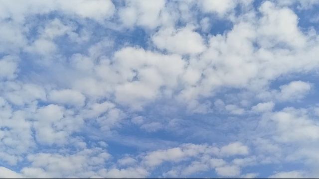 р. Северский Донец. Рыбалка 24.10.25. Поймали леща, карася.