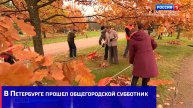 В Петербурге прошел общегородской субботник