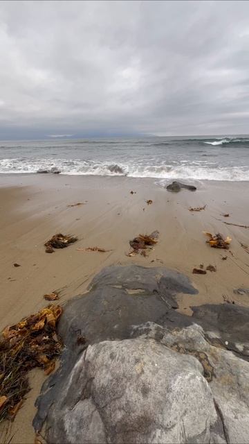 Послушайте, просто послушайте сердцем.
#музыкадуши #музыка