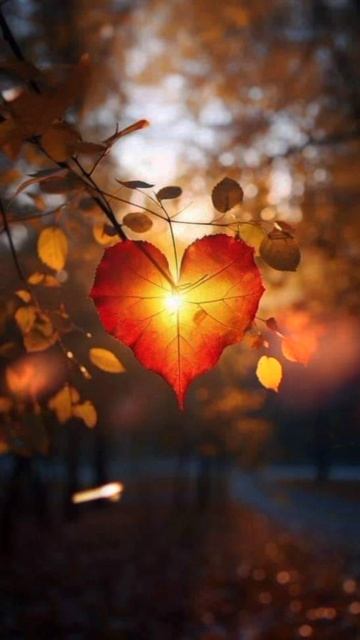 Девочка ждёт, мальчик не идёт, группа Арамис