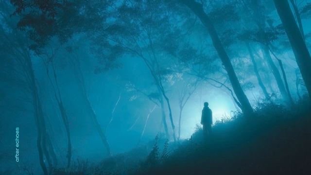 After Echoes | there's no end - ambient playlist