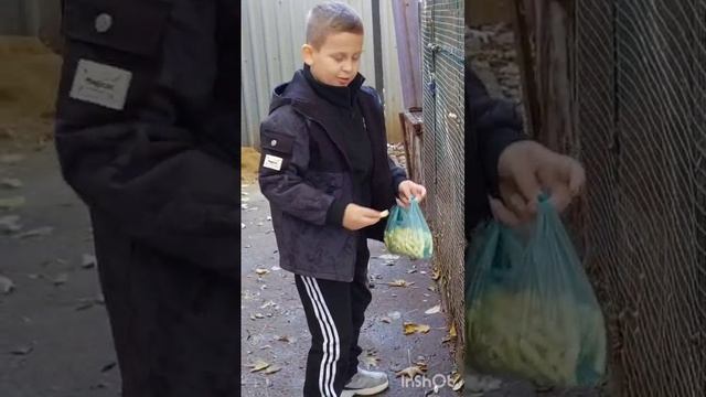 Выходной михи The cursed Isle