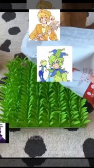 не ну так всегда-_-