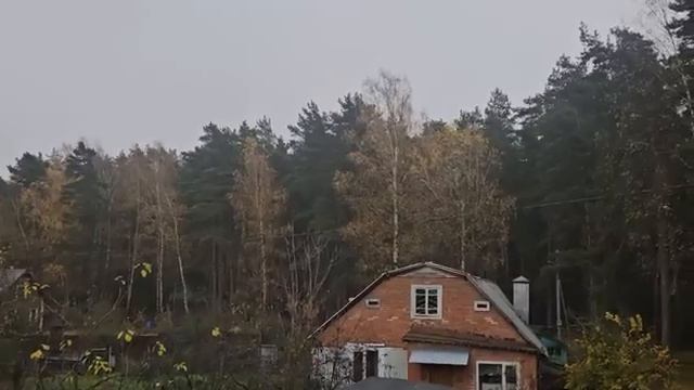 ПОЗОР НА ПОЗОРЕ