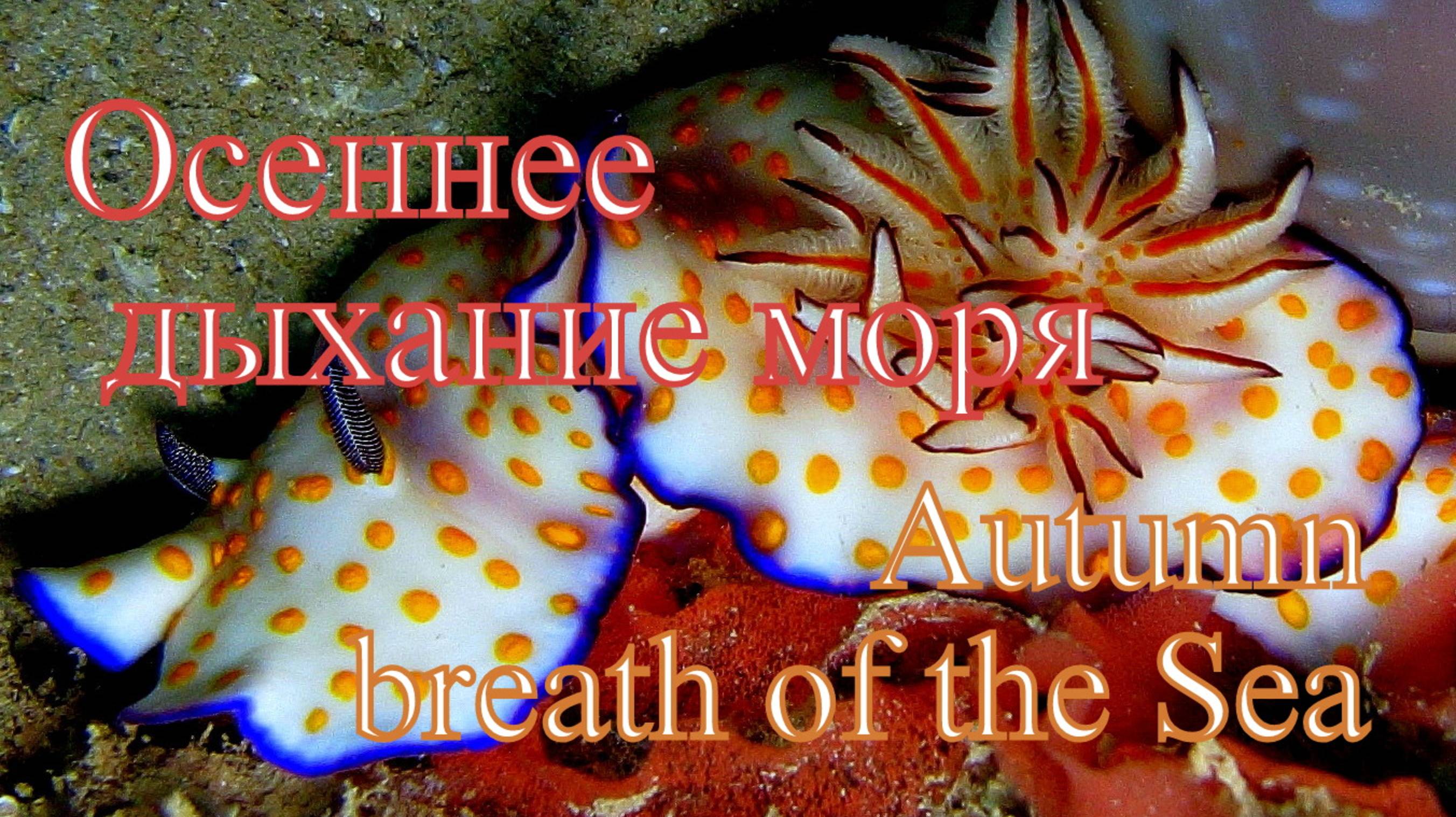 Осеннее дыхание моря