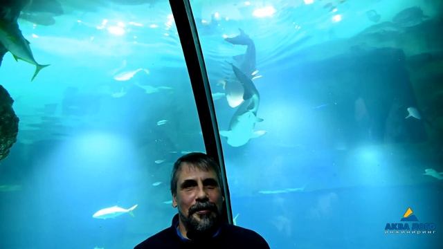 Андрей Телегин о работе в океанариуме Москвариум