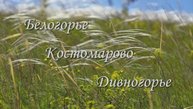 На дивных берегах Дона