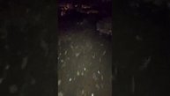 жёсткий вечер