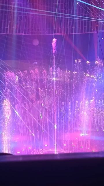 Представление в цирке. Шоу фонтанов