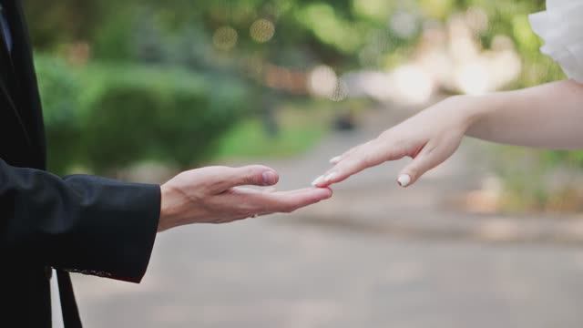 Краснодар свадьба Артём Полина