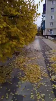 Скоро вечная ночь (моё личное стихотворение)