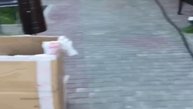 Экстерьер базы отдыха к Шагена в Усинске