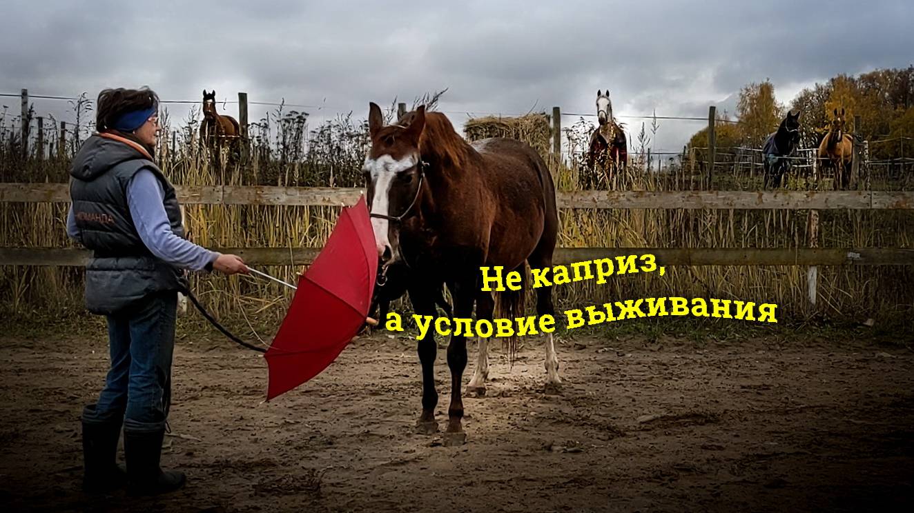 Не каприз, а условие выживания!