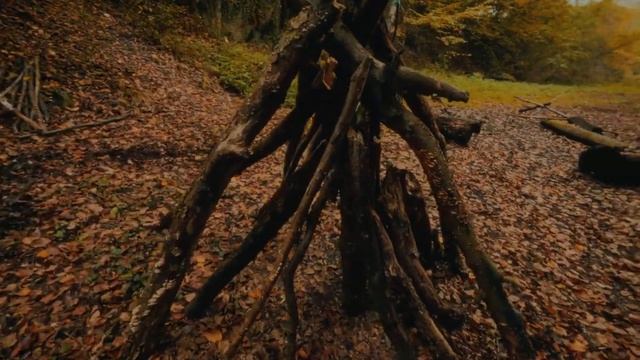 Все, что вы спрашивали об EMUL8 (и то, что вы не спрашивали)