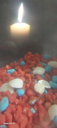 Спокойной ночи рыбки гуппи!