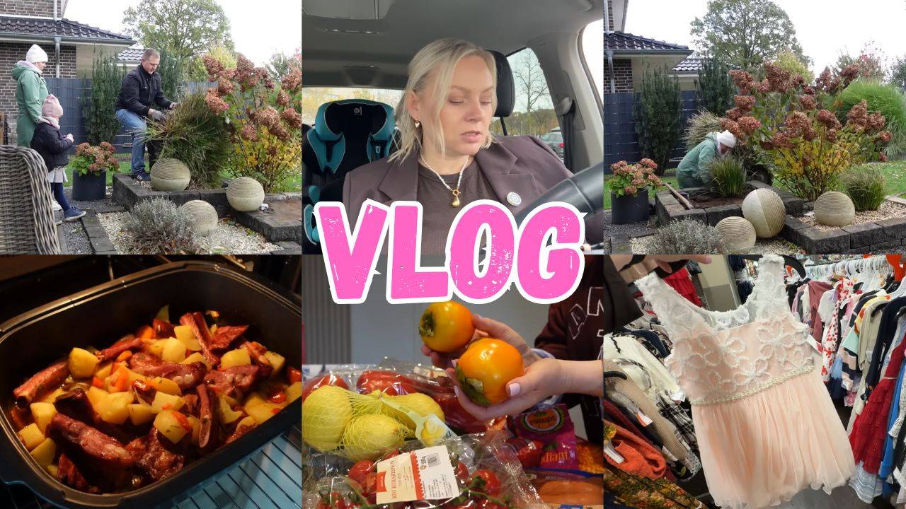 VLOG🇩🇪: ПОЕХАЛИ В БРЕМЕН🛍️БЫСТРЫЙ ОБЕД 🥘НАКОНЕЦ-ТО УМЕНЬШИЛИ КУСТЫ