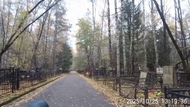 Выяснились детали биографии некрофила, выкопавшего труп: мечтал стать патологоанатомом