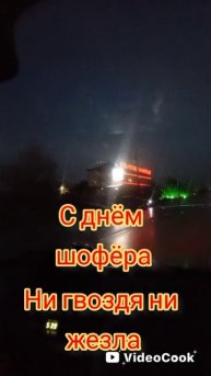 день шофера